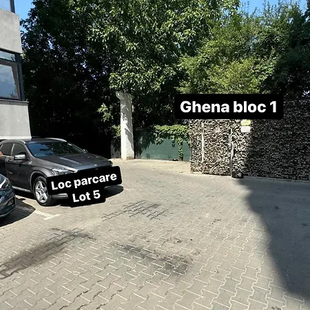 Avangarde Bukarest